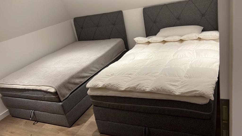 פאדרבורן Ferienwohnung Nella מראה חיצוני תמונה